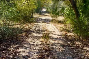 10324 FM 530, Hallettsville, TX 77964 - Photo 3