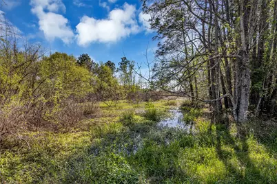 Lot 139 Ravenwood Drive, Porter, TX 77365 - Photo 5
