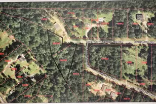 Tbd-000 County Road 6496, Dayton, TX 77535 - Photo 1