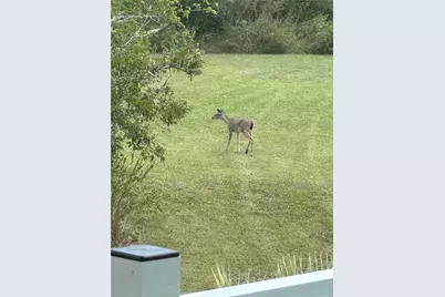 540 Bayou Avenue, Anahuac, TX 77514 - Photo 15