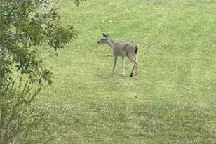 540 Bayou Ave, Anahuac, TX 77514 - Photo 15