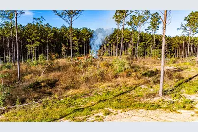 Lot 2 Black Buck Drive, Moscow, TX 75960 - Photo 5