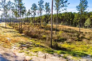 Lot 2 Black Buck Dr, Moscow, TX 75960 - Photo 1