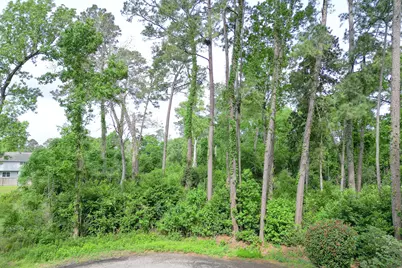 0 Roanoke Drive, Conroe, TX 77302 - Photo 3