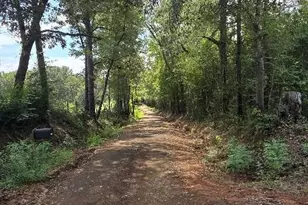 427 Co Rd 4822, Timpson, TX 75975 - Photo 5