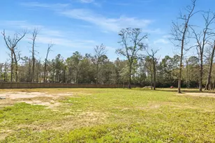 40915 Friartuck Dr, Montgomery, TX 77316 - Photo 45