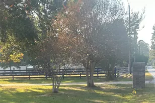 25404 Decker Prairie-Rosehill Rd, Magnolia, TX 77355 - Photo 5