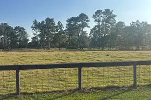 25404 Decker Prairie-Rosehill Rd, Magnolia, TX 77355 - Photo 9