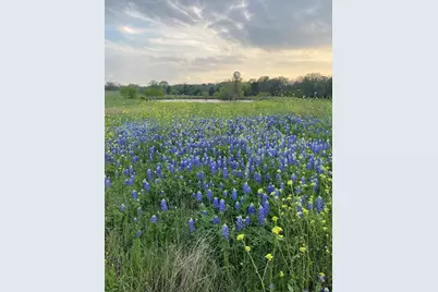 1532 County Road 250, Weimar, TX 78962 - Photo 5