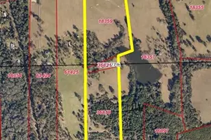 Tbd Cr 306, Navasota, TX 77868 - Photo 1