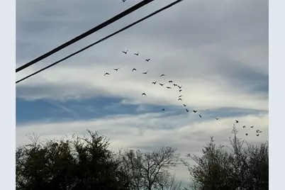 0 County Road 46, Angleton, TX 77515 - Photo 3