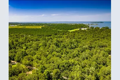 Tbd Lazy Oak Drive Drive, Livingston, TX 77351 - Photo 11