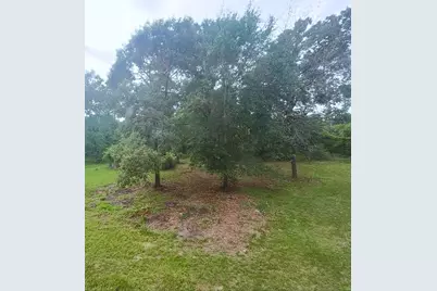 571 Pelican Street, Magnolia, TX 77355 - Photo 21