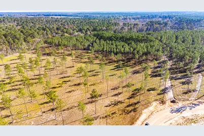 0019 Big Buck Drive, Moscow, TX 75960 - Photo 5
