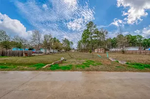 1528 County Rd 5017, Cleveland, TX 77327 - Photo 1