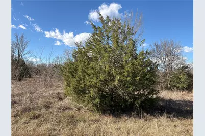 11880 Independence Drive, Bedias, TX 77831 - Photo 11