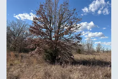 11880 Independence Drive, Bedias, TX 77831 - Photo 13