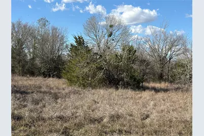 11880 Independence Drive, Bedias, TX 77831 - Photo 17