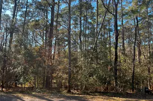 61 Sunny Hill Dr, Coldspring, TX 77331 - Photo 1
