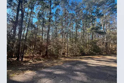 61 Sunny Hill Drive, Coldspring, TX 77331 - Photo 3