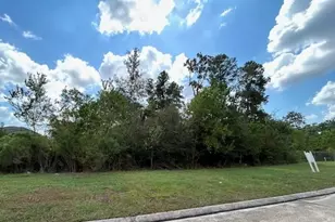 141 Kings Lake Estates Blvd, Humble, TX 77346 - Photo 3