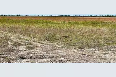 1297 McDonald Road, Eagle Lake, TX 77434 - Photo 3