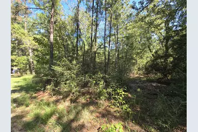 178, 179 Deer Run Lane, Brookeland, TX 75931 - Photo 5