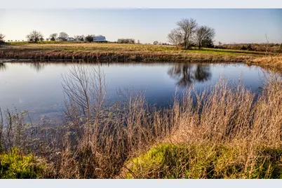 1905 Century Farms Road, Burton, TX 77835 - Photo 25