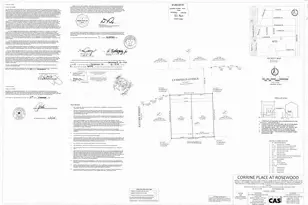 3916 Lynnfield St, Houston, TX 77016 - Photo 1