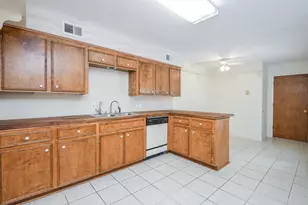 5214 Palmetto St, Bellaire, TX 77401 - Photo 11
