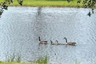 1251 Bancroft Rd, Winnie, TX 77665 - Photo 5