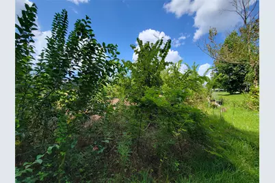 0 Tri Lakes Rd, Montgomery, TX 77316 - Photo 15