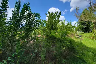 0 Tri Lakes Rd, Montgomery, TX 77316 - Photo 15