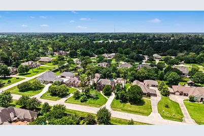 29511 Orchard Grove Drive, Tomball, TX 77377 - Photo 47
