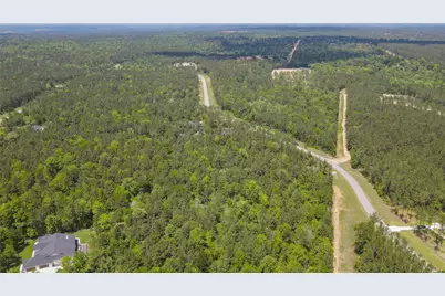 10774 Ruger Road, Willis, TX 77378 - Photo 19