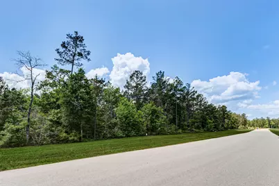 10774 Ruger Road, Willis, TX 77378 - Photo 3