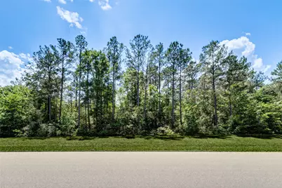 10774 Ruger Road, Willis, TX 77378 - Photo 9