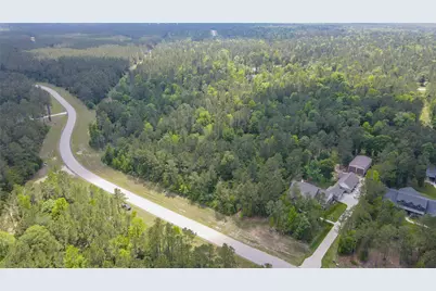 10774 Ruger Road, Willis, TX 77378 - Photo 13
