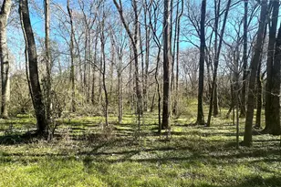 00 Royal Springs Rd, Conroe, TX 77303 - Photo 7