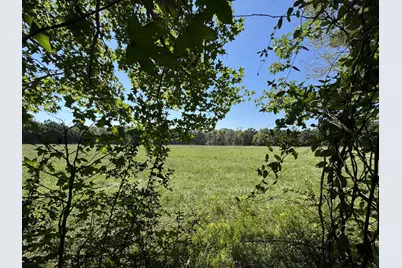 Tbd County Road 3550, Woodville, TX 75979 - Photo 3