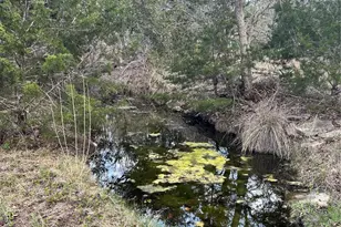 31291 Ranch Rd 12, Dripping Springs, TX 78620 - Photo 1