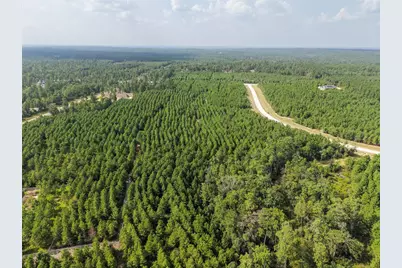 12046 Compassion Lane, Willis, TX 77378 - Photo 7