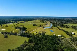 10802 County Rd 203, Plantersville, TX 77363 - Photo 29