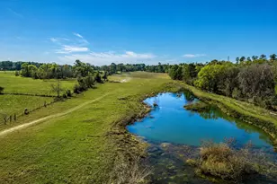 10802 County Rd 203, Plantersville, TX 77363 - Photo 21