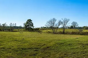 10802 County Rd 203, Plantersville, TX 77363 - Photo 27