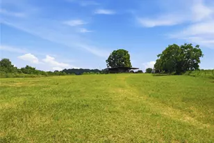 10802 County Rd 203, Plantersville, TX 77363 - Photo 23