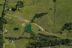 10802 County Rd 203, Plantersville, TX 77363 - Photo 31