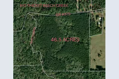 1810 County Road 4375, Spurger, TX 77660 - Photo 3