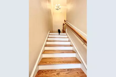 4611 Sharman Street, Houston, TX 77009 - Photo 5