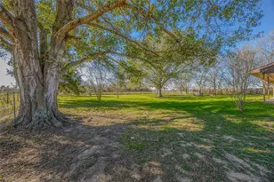 1169 Business 71, Columbus, TX 78934 - Photo 3